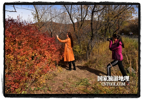 扎蘭屯市五彩繽紛賞秋色“游人如織”（圖）